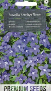 Ameerika brovallia