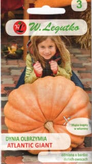 Kõrvits "Atlantic Giant"