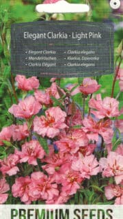 Elegantne klarkia "Light Pink"