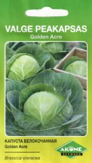 Valge peakapsas "Golden Acre"