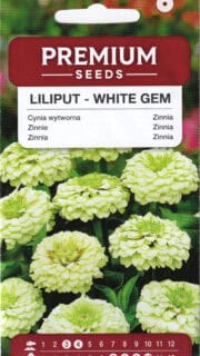 Harilik pruudisõlg "Liliput White Gem"