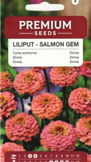Harilik pruudisõlg "Liliput Salmon Gem"