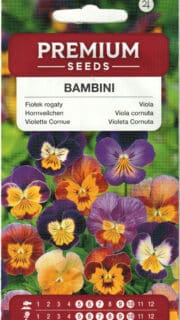 Sarvkannike "Bambini"
