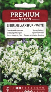 Suureõiene kukekannus kääbus valge