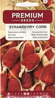 Dekoratiivmais "Red Strawberry Corn"