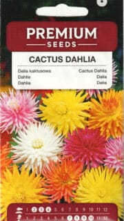 Sulgjas daalia segu
