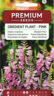 Virgiinia tonditupik roosa