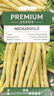 Lattuba "Neckargold"