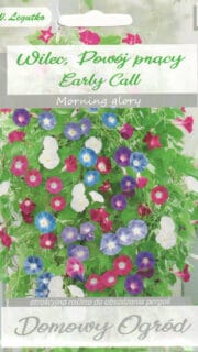 Indigo lehtertapp "Early Call"