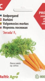 Porgand "Jerada" F1