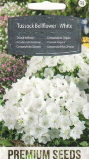 Karpaadi kellukas valge