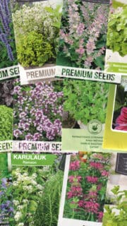 Kinkekomplekt maitsetaimesõbrale - 13 pakki põnevate maitsetaimede seemneid ja kinkekott!