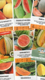 Kinkekomplekt arbuusi ja melonisõbrale - 9 pakki erinevaid arbuusi- ja meloniseemneid ja kinkekott!