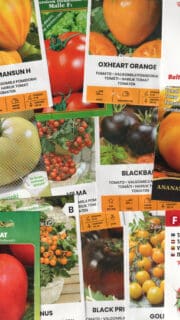 Kinkekomplekt tomatisõbrale - 16 pakki erinevaid tomatiseemneid ja kinkekott!