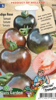Tomat "Indigo Rose"