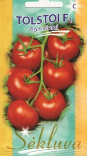 Tomat "Tolstoi" F1