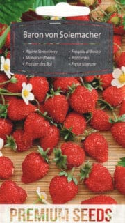 Kuumaasikas "Baron von Solemacher"