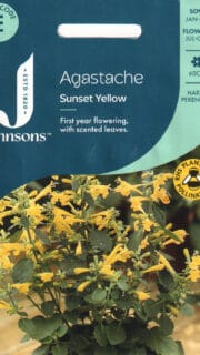 Hiidiisop "Sunset Yellow"