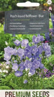 Suureõiene kellukas sinine