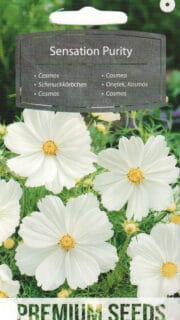 Kosmos "Sensation Purity"