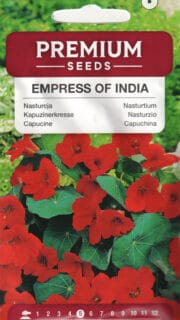 Suur mungalill "Empress of India"