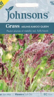 Natali magushein "Savannah"