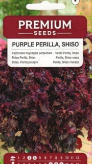 Pronks-lutiklill "Shiso Purple"