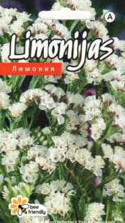 Kääruline parkjuur valge