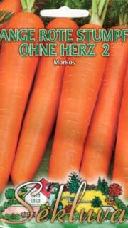 Porgand  "Lange Rote Stumpfe Ohne Herz 2"