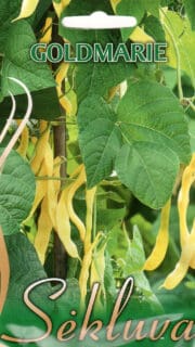 Lattuba "Goldmarie"
