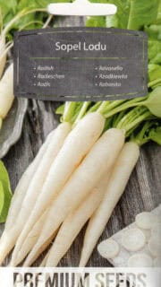 Redis "White Icicle"