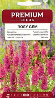 Harilik kukesaba "Rosy Gem"
