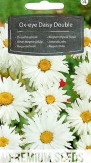 Harilik härjasilm