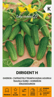 Avamaakurk "Dirigent" F1
