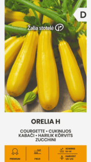 Kabatšokk "Orelia" F1