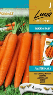 Porgand "Amsterdam 2" - lindil 4 meetrit