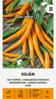 Kibepaprika "Kilian"