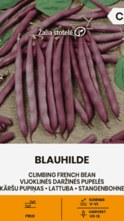 Lattuba "Blauhilde"