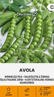 Aedhernes "Avola"