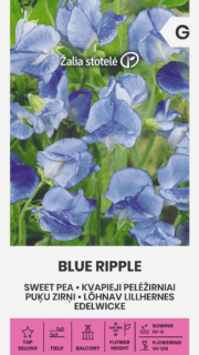 Lõhnav lillhernes "Blue Ripple"