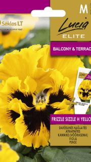 Võõrasema lokkisservaline "Frizzle Sizzle Yellow" F1
