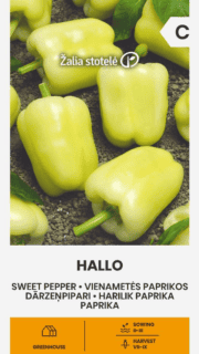 Paprika "Hallo"