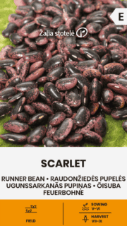 Õisuba "Scarlet"