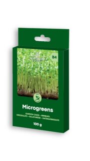 Salatkress - kress-salat - microgreens
