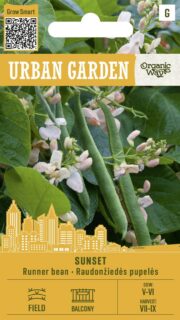 Lattuba / roniuba / õisuba "Sunset"