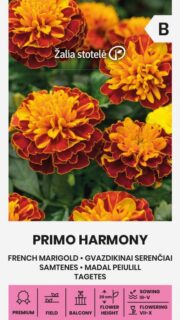Peiulill "Primo Harmony"