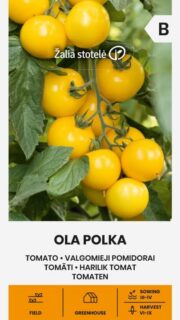 Tomat "Ola Polka"