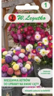 Aster lõikeõite segu