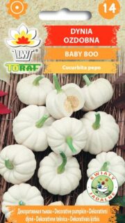 Minikõrvits "Baby Boo"