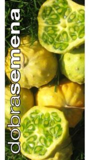 Ogamelon / kiwano  "Jelly Round"